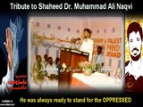 A Tribute to Shaheed Dr. Mohammad Ali Naqvi - Urdu and English