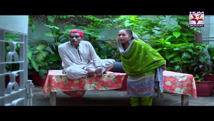 Chirryon Ka Chamba Episode 62 Full Hum Sitaray Drama July 21, 2015