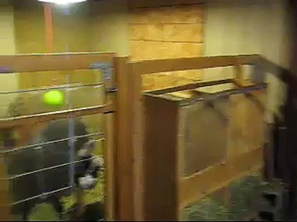 Barn Tour