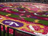 Tapis de fleurs/ Brussels Flower Carpet  2008