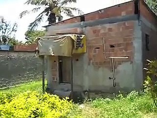 Brincadeira  na  piscina