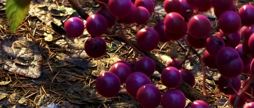 Nouvelle Bande Annonce du film Disney Le Voyage de Arlo