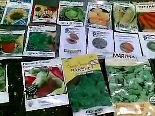 Acuaponia - Semilleros para el Acuapónico