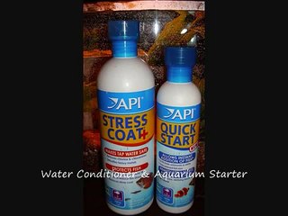 How To Set Up A 5 Gallon Aquarium For A Betta