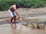 Un cocodrilo en Costa Rica