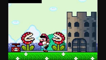 Mario Bros Las Estupideces 5