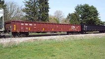 Eastbound Canadian National, Procor, and Union Pacific freight cars