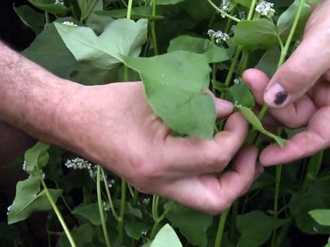 La colère des éleveurs s'étend, Le Foll refuse de nommer les coupables