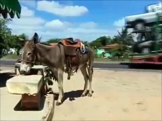 Saudade Pesada - Rick e Renner