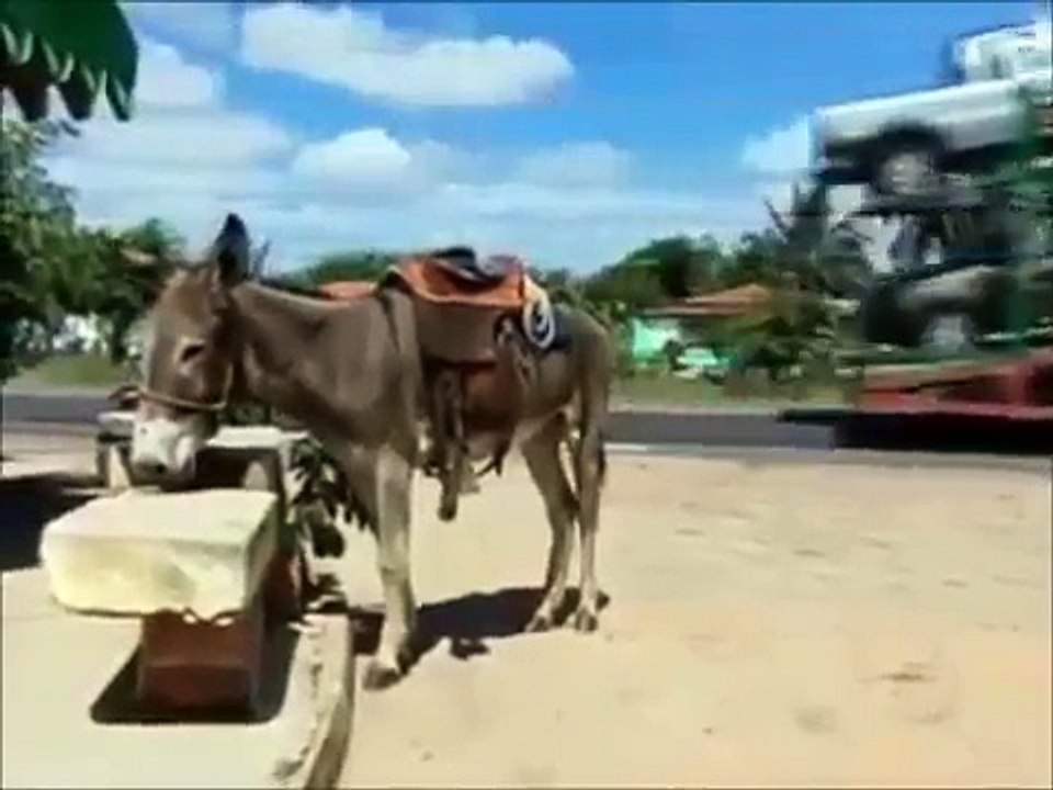 Saudade Pesada - Rick e Renner