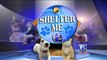 6abc Shelter Me: Almost Home Animal Shelter