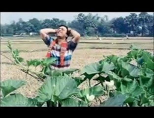 best of habib and nancy bangla song -tomare dekhilo