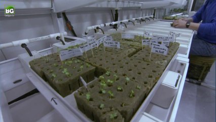 Güney Kutbu'nda Bulunan Araştırma Üssü