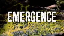 NOVA SCIENCE NOW - EMERGENCE - Discovery/Animals/Nature (documentary)