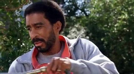 Moving - Richard Pryor & Randy Quaid - Helicopter Scene