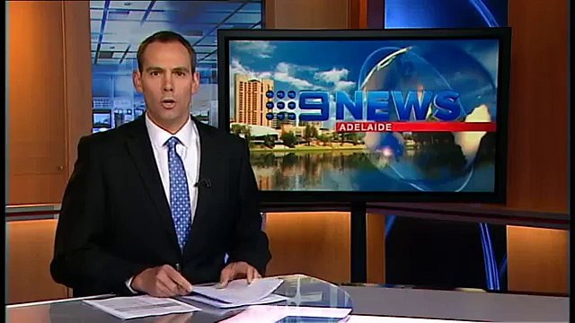 Graffiti Vandals | 9 News Adelaide