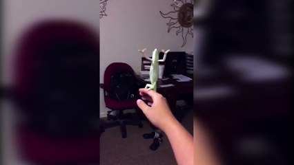 LAURA LIKES TO POP BUBBLES OH MY GOD