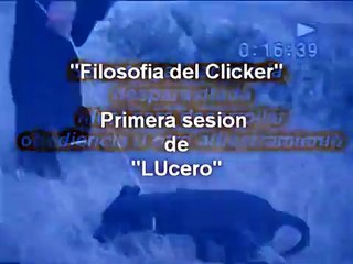 Sesion Filosfia del Clicker.Lucero en Adopcion www.bracanpuebla.com.mx