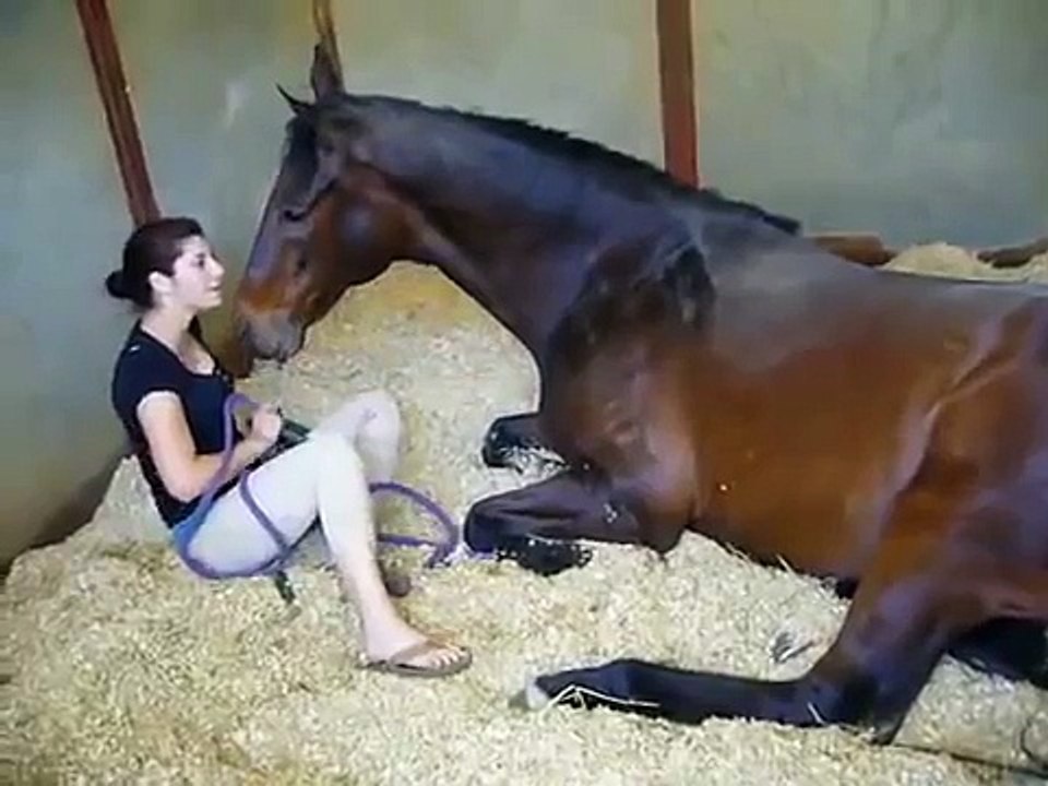 Girl and Horse   Женщина и Лошадь
