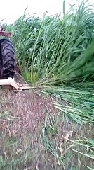 Chara Katne ki mashin