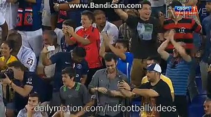 Ibrahimovic 3:1 | PSG 3-1 Fiorentina