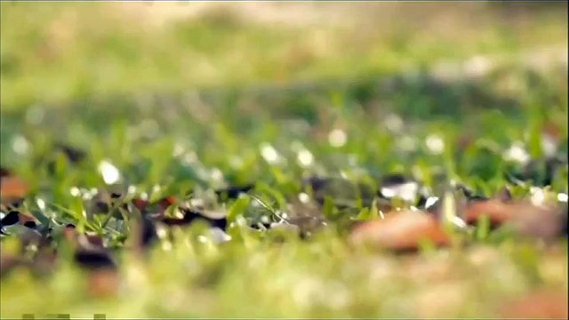 iModels Holdings - Modelling Agency - Clean & Green Singapore Theme Song MV (World without Fences)