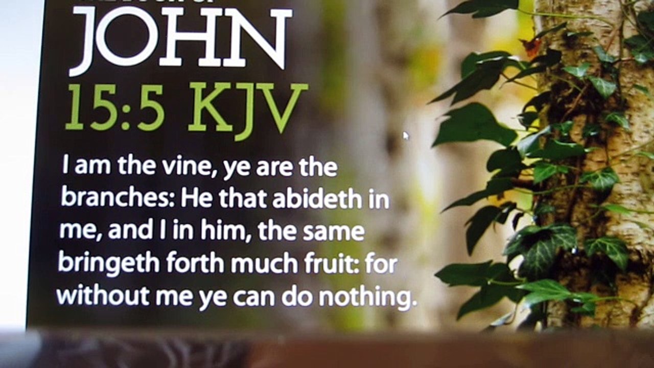 Prune you Life For You Can Grow!