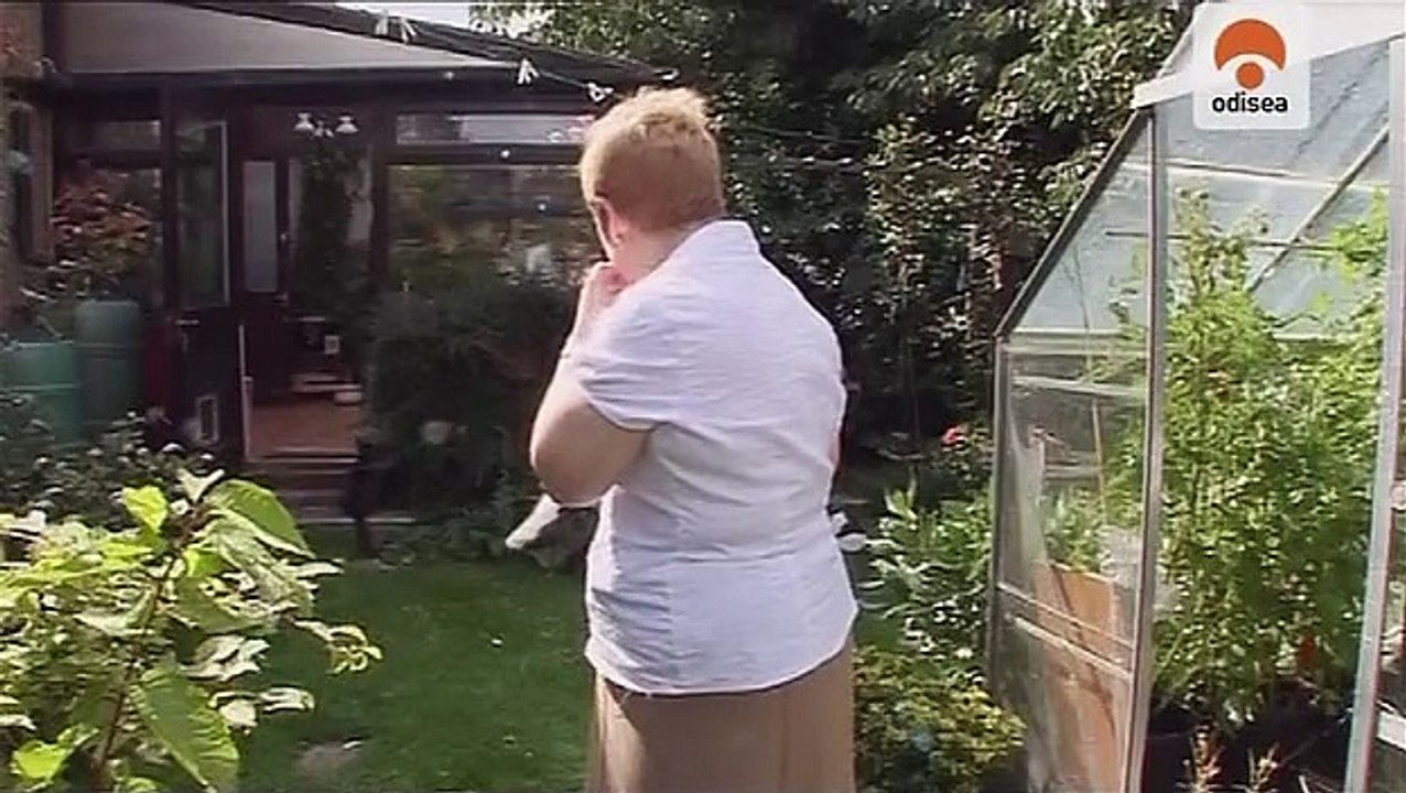 Animais de Estimação em Apuros - Odisseia