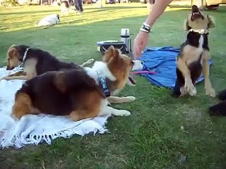 EL CAMPITO REFUGIO - Ojitos y Mily jugando.