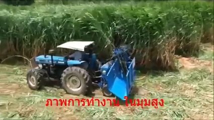 king grass (napier grass) harvester machine