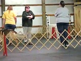 Captain's 1st Show-N-Go Novice A - 1st Run Through