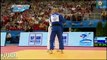 Judo European Championships 2013: Lukas KRPALEK (CZE) - Henk GROL (NED) Final [-100kg]