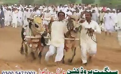 jalsa saien muhammadi mureed chakwal 2015 part 20