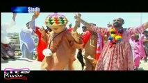 Qalandar Lal By Imran Jawed -Sindh Tv-Sindhi Song