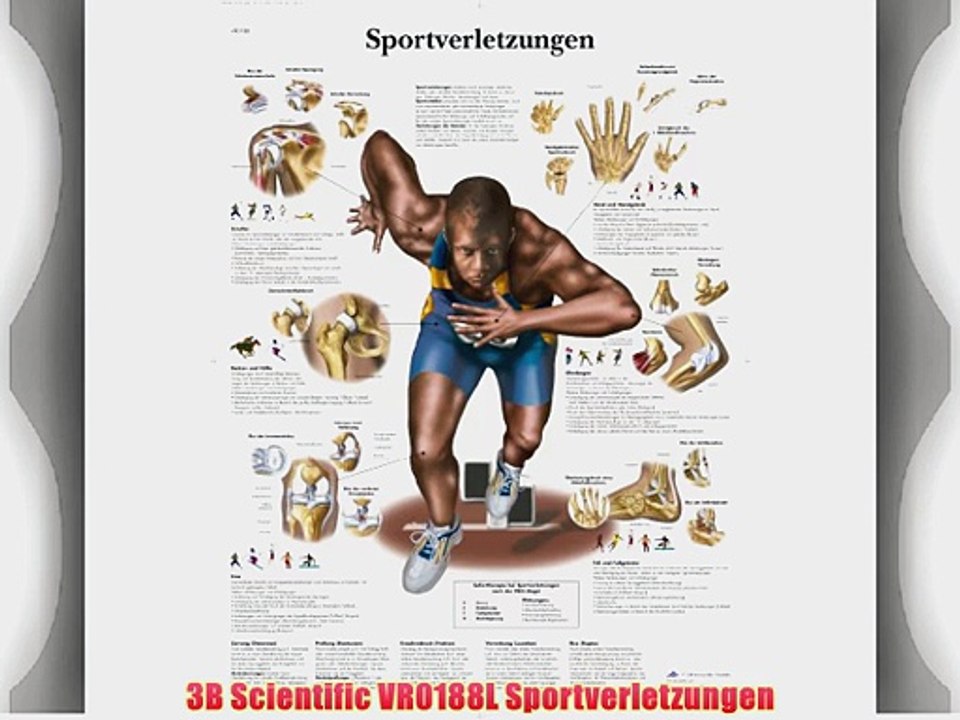 3B Scientific VR0188L Sportverletzungen
