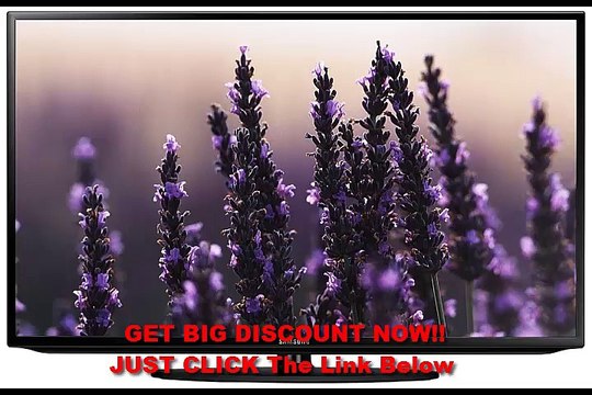 BEST BUY Samsung UN40H5203 40-Inch 1080p 60Hz Smart LED TV