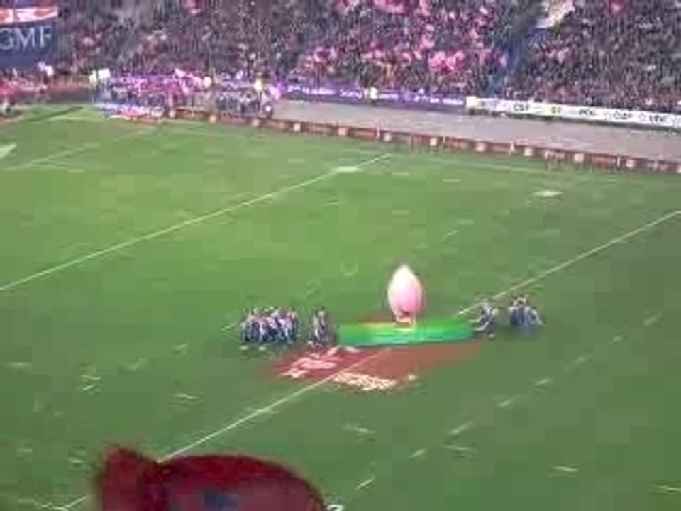 rugby toulouse stade francais