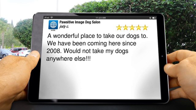 Pawsitive Image Dog Salon Excellent Five Star Review by jody c.