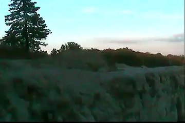 Car Falling off cliff