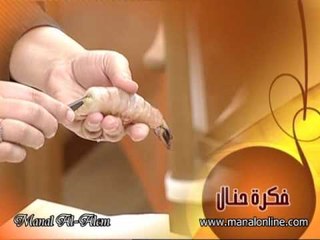 فكرة ازالة سلسة ظهر الروبيان - منال العالم