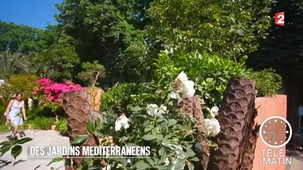 Jardin - Secret de jardin méditerranéen - 2015/07/22