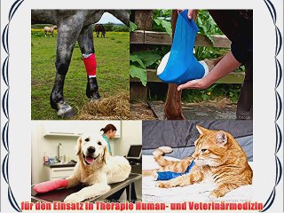 12er Pack Haftbandagen / Selbsthaftende Bandagen 5 cm x 45 m rot