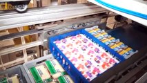 Coop Switzerland - Automated Cross Docking Processes for Fresh Goods
