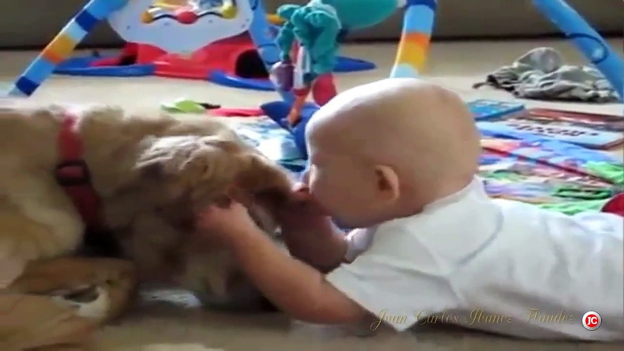 Perro Devorando a Bebe.
