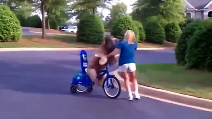 Dog Rides Bike Super cool!