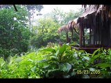 Punta Marenco Lodge - Corcovado Park. Costa Rica