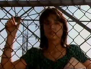 Los Lobos - Will the Wolf Survive?