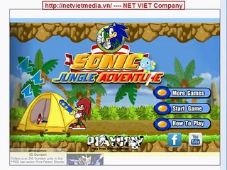 Sonic Jungle Adventure game