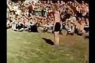 Hitler Youth (HitlerJugend)