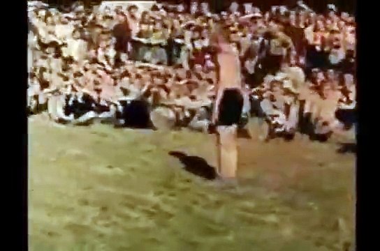 Hitler Youth (HitlerJugend)